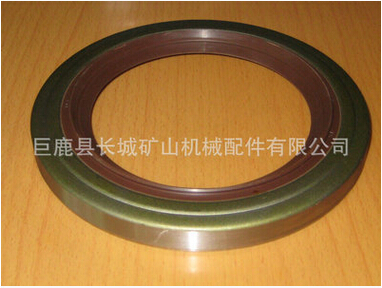 高壓骨架油封